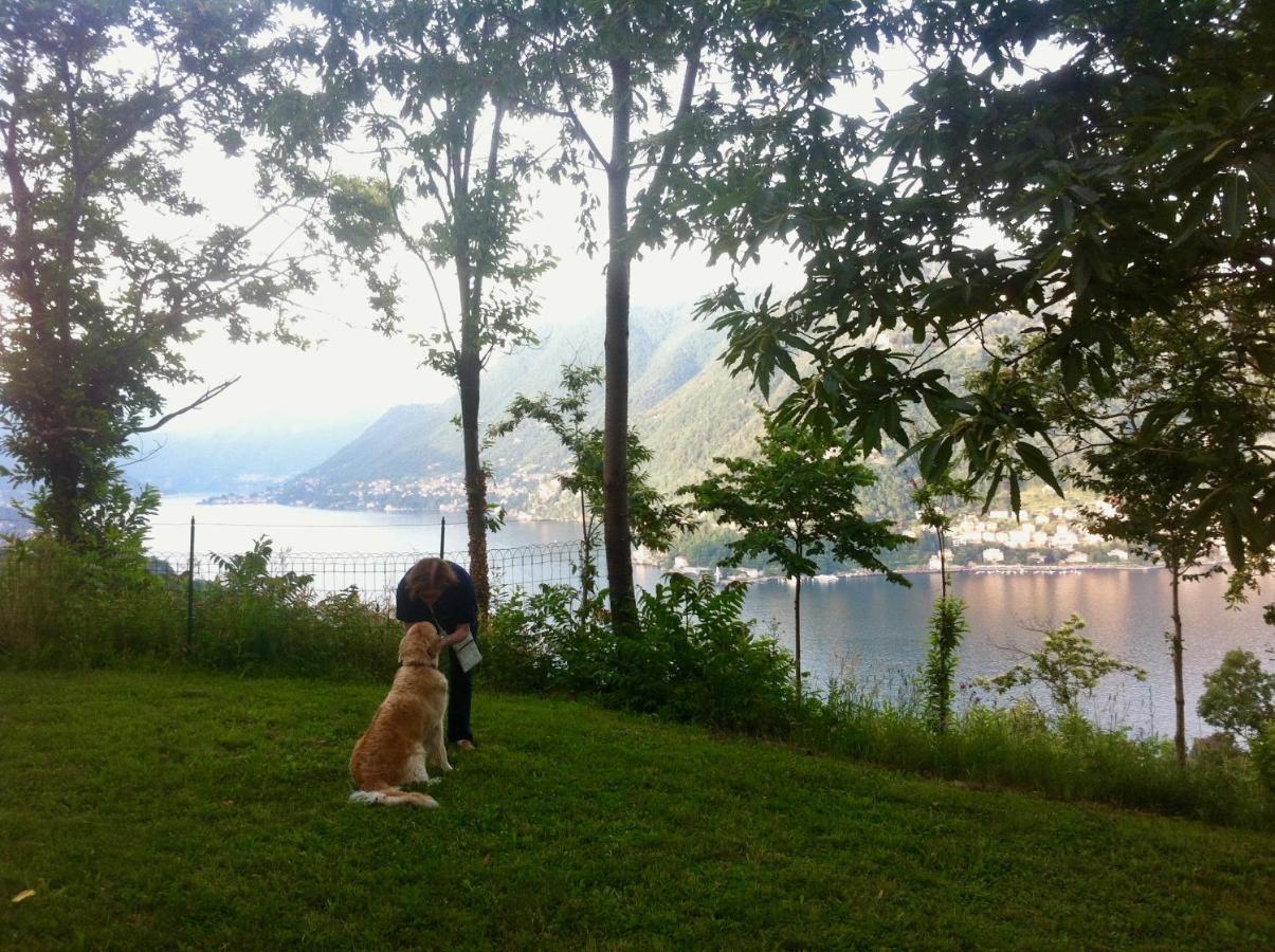 Villa Corti Lakeview Como Luaran gambar