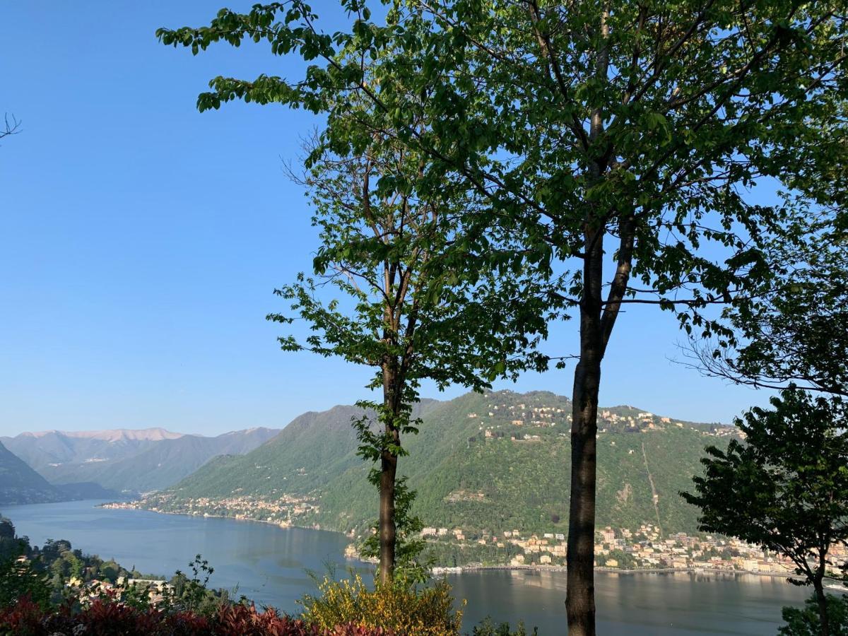 Villa Corti Lakeview Como Luaran gambar